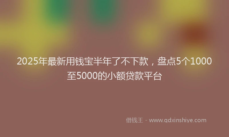 2025年最新用钱宝半年了不下款，盘点5个1000至5000的小额贷款平台