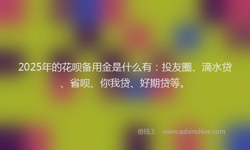 2025年的花呗备用金是什么有：投友圈、滴水贷、省呗、你我贷、好期贷等。