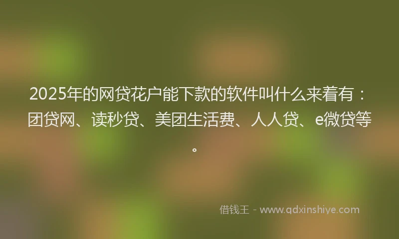 2025年的网贷花户能下款的软件叫什么来着有：团贷网、读秒贷、美团生活费、人人贷、e微贷等。