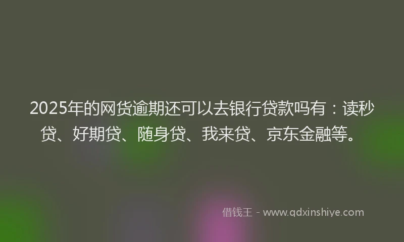 2025年的网货逾期还可以去银行贷款吗有：读秒贷、好期贷、随身贷、我来贷、京东金融等。