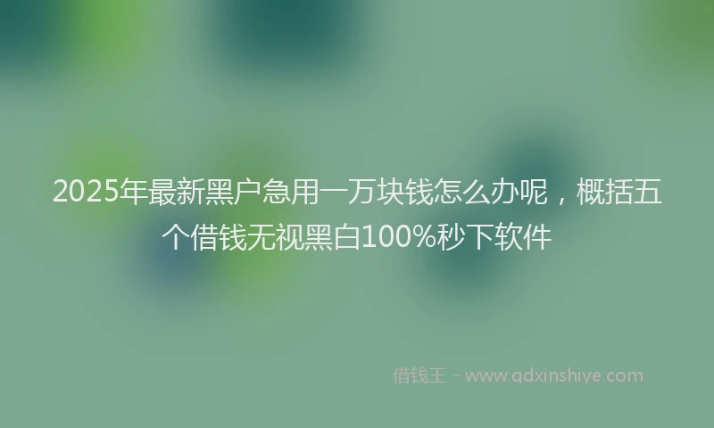 2025年最新黑户急用一万块钱怎么办呢，概括五个借钱无视黑白100%秒下软件