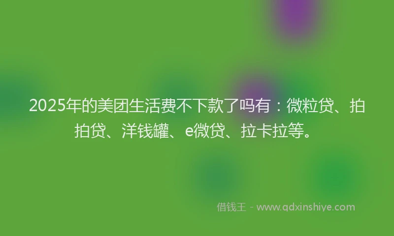 2025年的美团生活费不下款了吗有：微粒贷、拍拍贷、洋钱罐、e微贷、拉卡拉等。