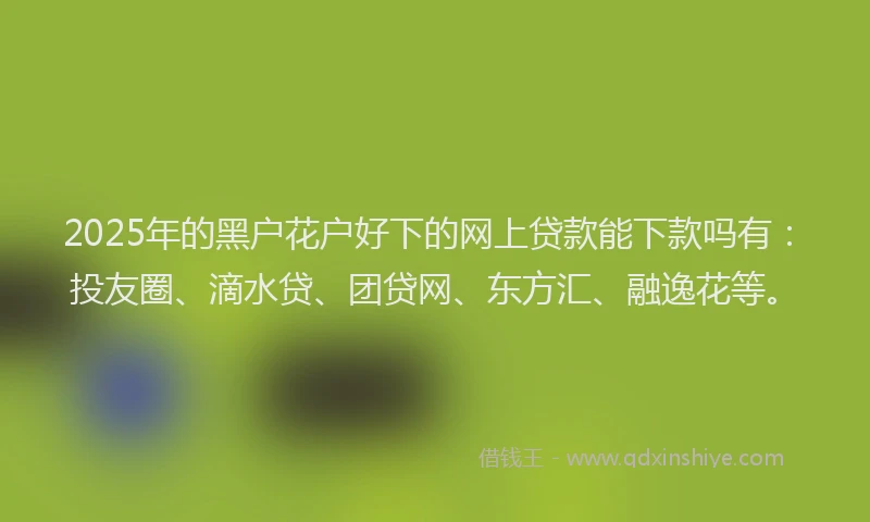 2025年的黑户花户好下的网上贷款能下款吗有：投友圈、滴水贷、团贷网、东方汇、融逸花等。