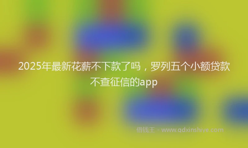 2025年最新花薪不下款了吗，罗列五个小额贷款不查征信的app