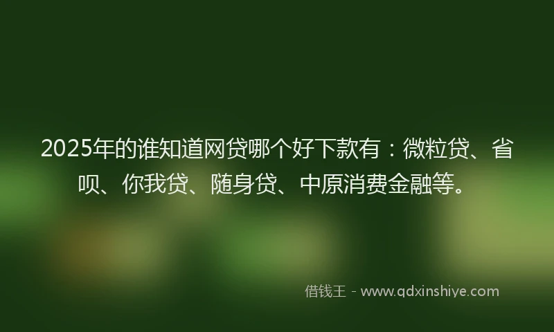 2025年的谁知道网贷哪个好下款有：微粒贷、省呗、你我贷、随身贷、中原消费金融等。