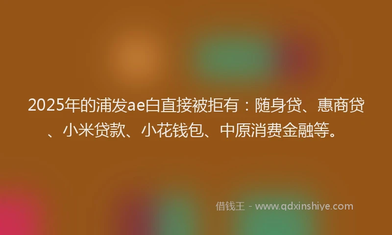 2025年的浦发ae白直接被拒有：随身贷、惠商贷、小米贷款、小花钱包、中原消费金融等。