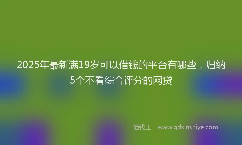 2025年最新满19岁可以借钱的平台有哪些，归纳5个不看综合评分的网贷