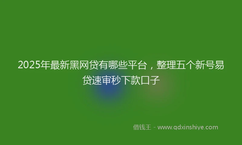 2025年最新黑网贷有哪些平台，整理五个新号易贷速审秒下款口子