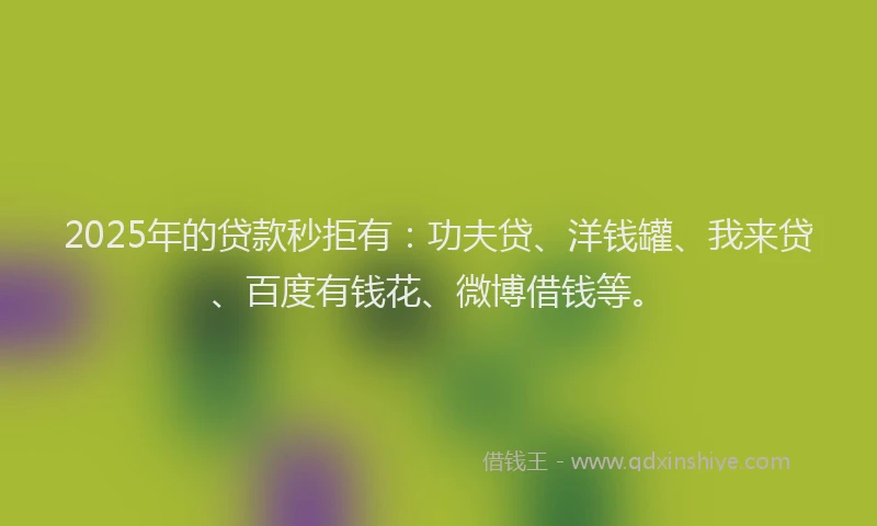 2025年的贷款秒拒有：功夫贷、洋钱罐、我来贷、百度有钱花、微博借钱等。