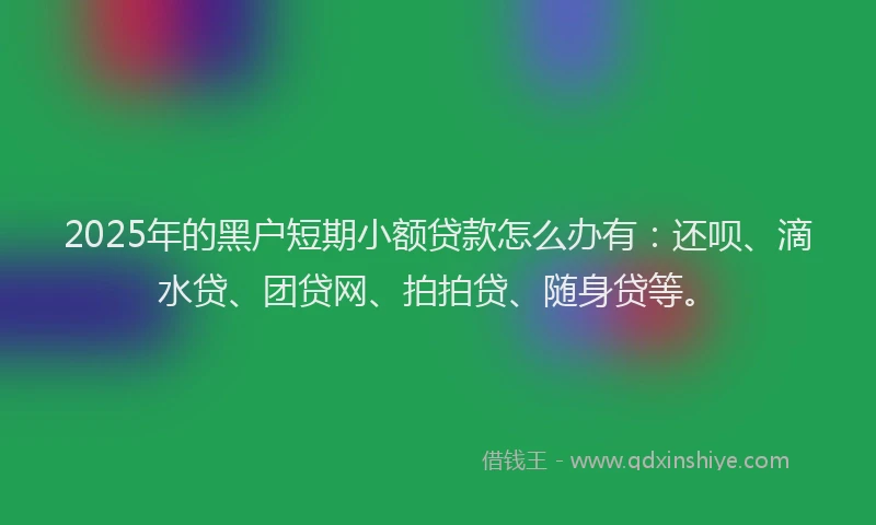 2025年的黑户短期小额贷款怎么办有：还呗、滴水贷、团贷网、拍拍贷、随身贷等。