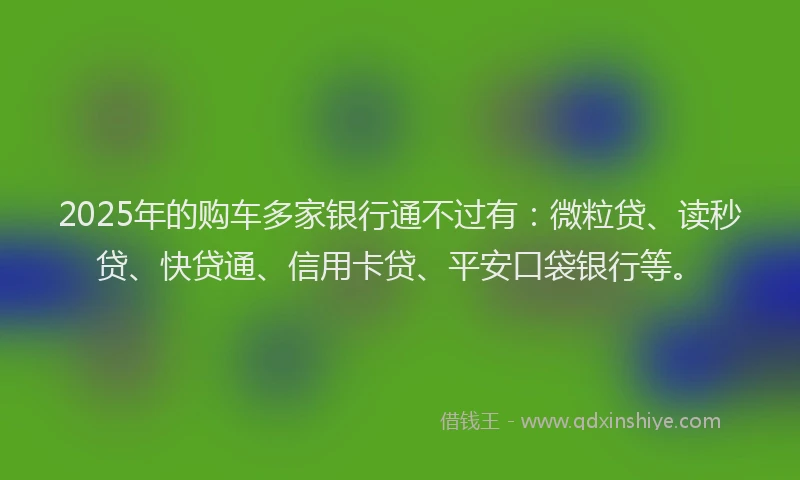 2025年的购车多家银行通不过有：微粒贷、读秒贷、快贷通、信用卡贷、平安口袋银行等。