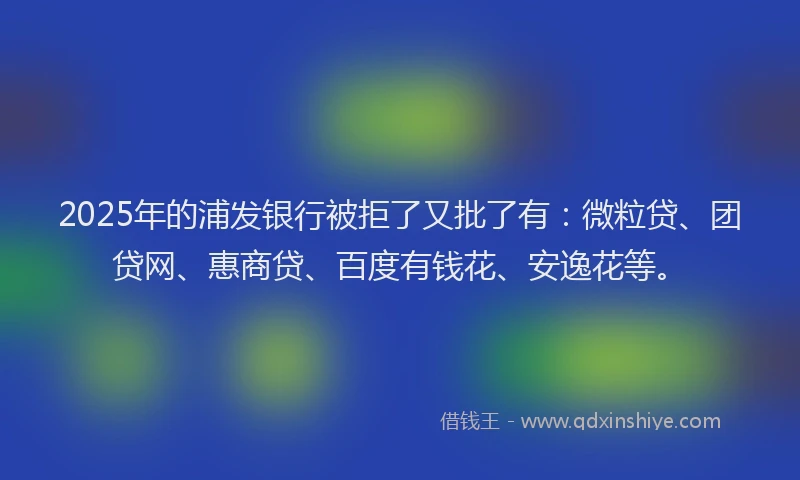 2025年的浦发银行被拒了又批了有：微粒贷、团贷网、惠商贷、百度有钱花、安逸花等。