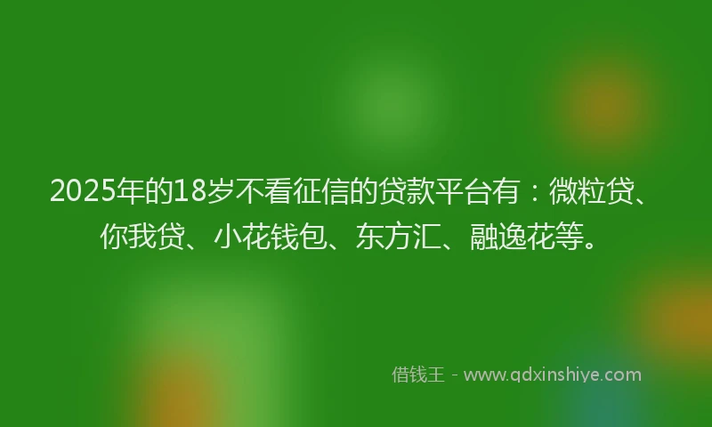 2025年的18岁不看征信的贷款平台有：微粒贷、你我贷、小花钱包、东方汇、融逸花等。