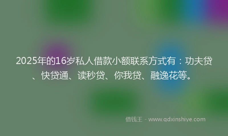 2025年的16岁私人借款小额联系方式有：功夫贷、快贷通、读秒贷、你我贷、融逸花等。