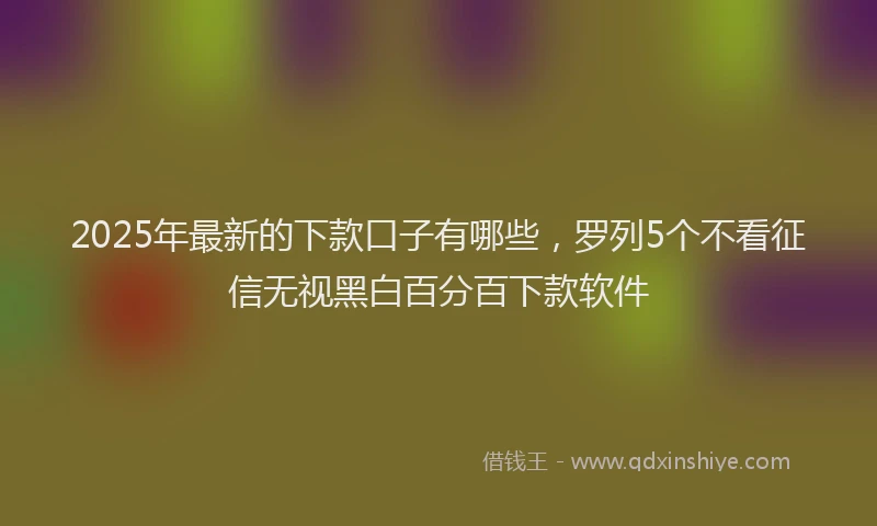 2025年最新的下款口子有哪些，罗列5个不看征信无视黑白百分百下款软件