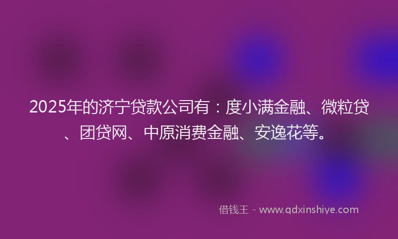 2025年的济宁贷款公司有：度小满金融、微粒贷、团贷网、中原消费金融、安逸花等。