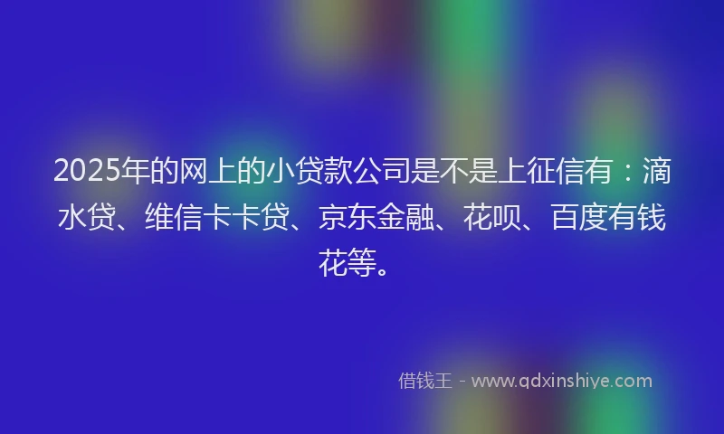 2025年的网上的小贷款公司是不是上征信有：滴水贷、维信卡卡贷、京东金融、花呗、百度有钱花等。