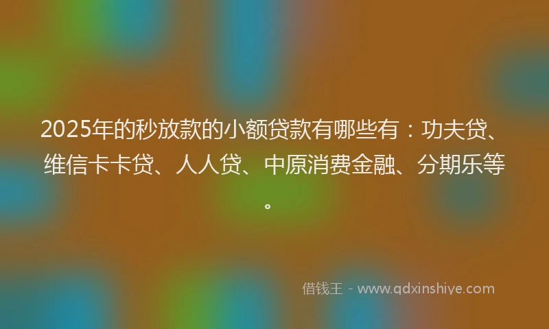 2025年的秒放款的小额贷款有哪些有：功夫贷、维信卡卡贷、人人贷、中原消费金融、分期乐等。