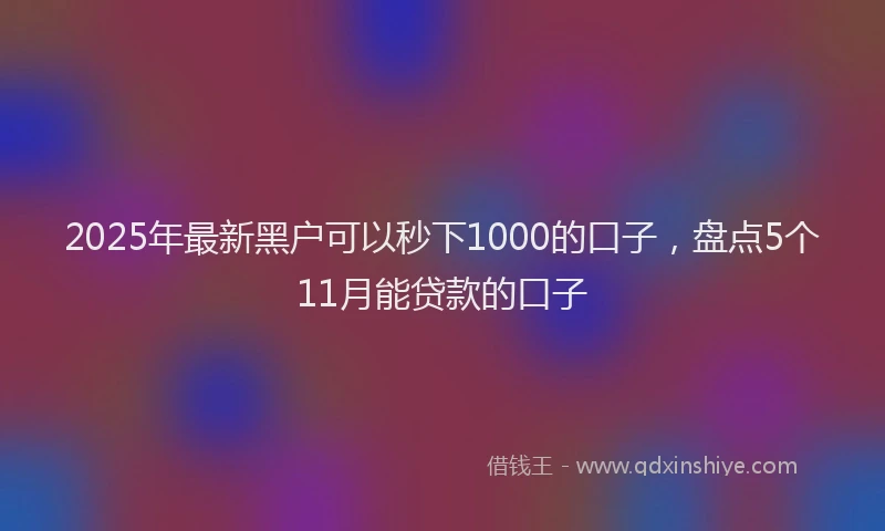 2025年最新黑户可以秒下1000的口子，盘点5个11月能贷款的口子