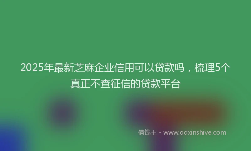 2025年最新芝麻企业信用可以贷款吗，梳理5个真正不查征信的贷款平台