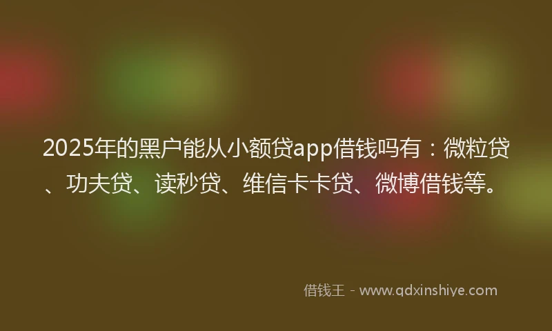 2025年的黑户能从小额贷app借钱吗有：微粒贷、功夫贷、读秒贷、维信卡卡贷、微博借钱等。