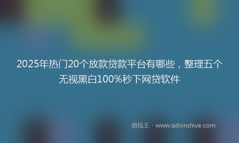 2025年热门20个放款贷款平台有哪些，整理五个无视黑白100%秒下网贷软件