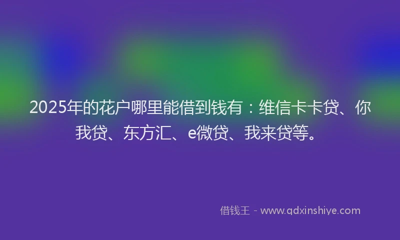 2025年的花户哪里能借到钱有：维信卡卡贷、你我贷、东方汇、e微贷、我来贷等。
