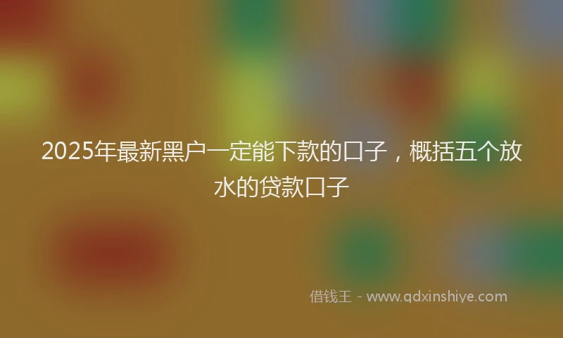 2025年最新黑户一定能下款的口子，概括五个放水的贷款口子