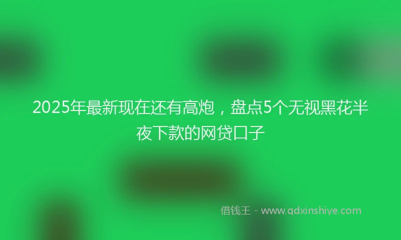 2025年最新现在还有高炮，盘点5个无视黑花半夜下款的网贷口子