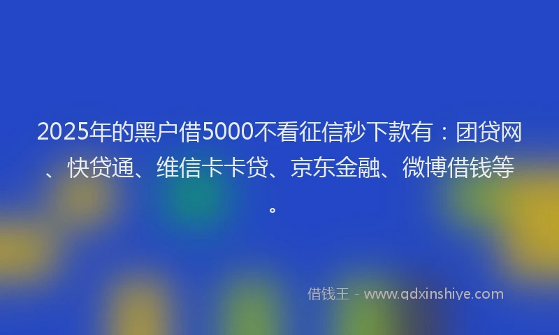 2025年的黑户借5000不看征信秒下款有：团贷网、快贷通、维信卡卡贷、京东金融、微博借钱等。