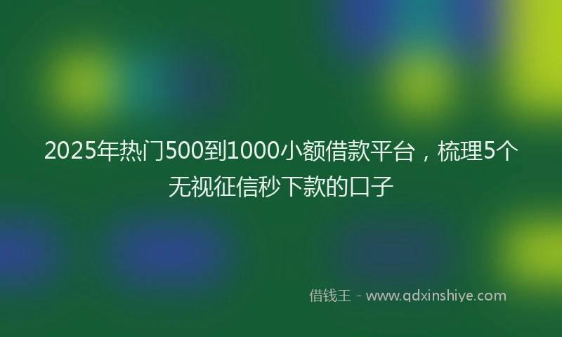 2025年热门500到1000小额借款平台，梳理5个无视征信秒下款的口子