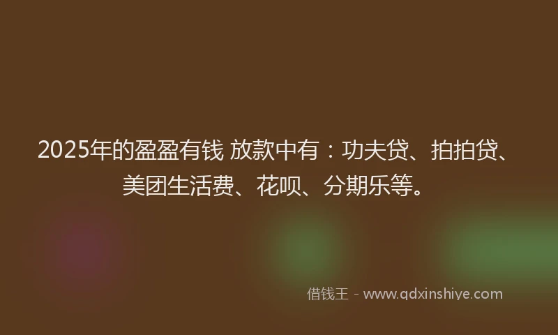2025年的盈盈有钱 放款中有：功夫贷、拍拍贷、美团生活费、花呗、分期乐等。