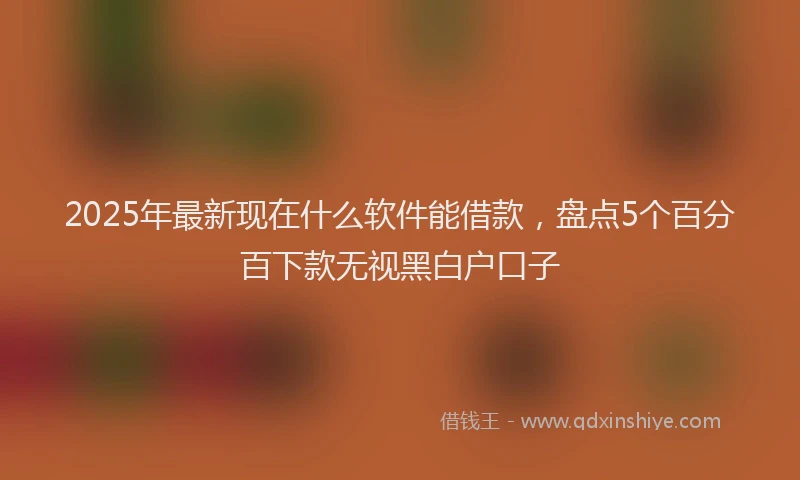 2025年最新现在什么软件能借款，盘点5个百分百下款无视黑白户口子
