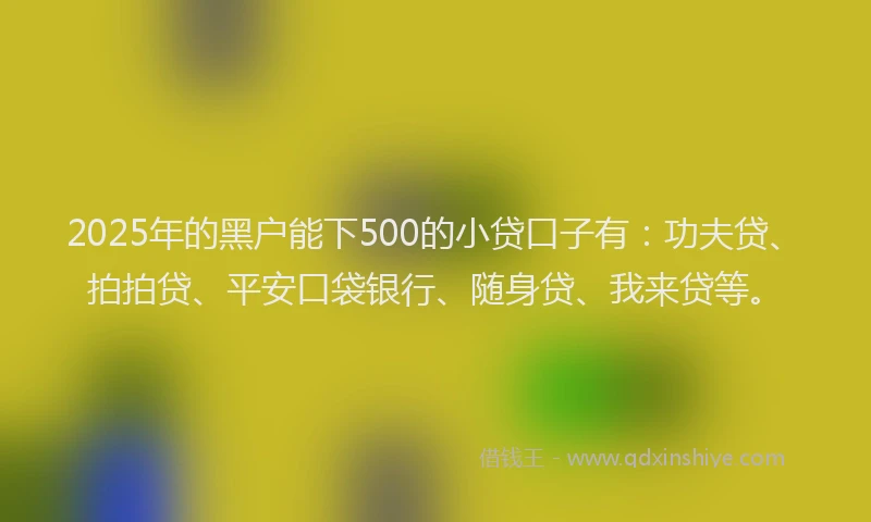 2025年的黑户能下500的小贷口子有：功夫贷、拍拍贷、平安口袋银行、随身贷、我来贷等。