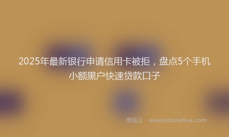 2025年最新银行申请信用卡被拒，盘点5个手机小额黑户快速贷款口子
