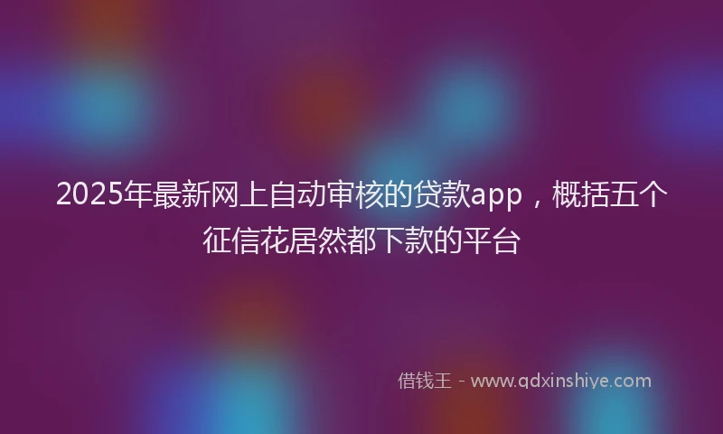 2025年最新网上自动审核的贷款app，概括五个征信花居然都下款的平台