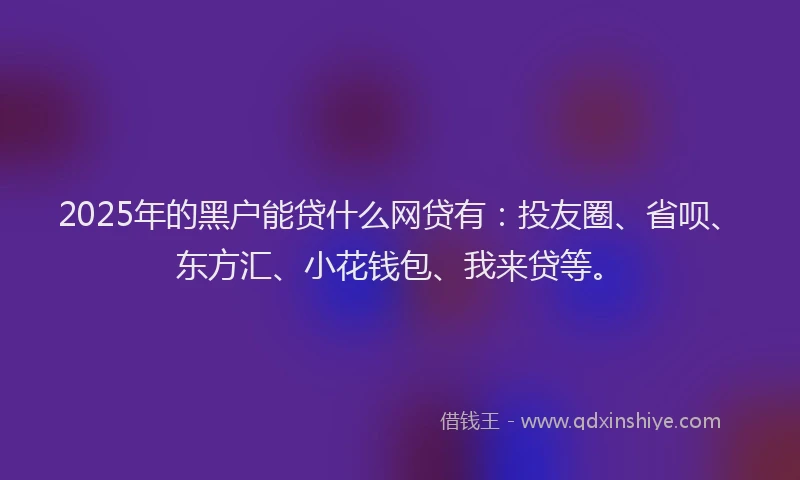 2025年的黑户能贷什么网贷有：投友圈、省呗、东方汇、小花钱包、我来贷等。