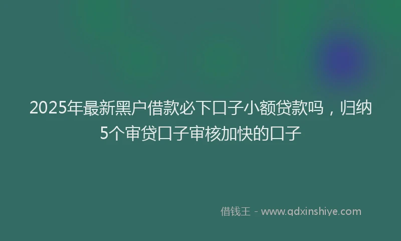 2025年最新黑户借款必下口子小额贷款吗，归纳5个审贷口子审核加快的口子