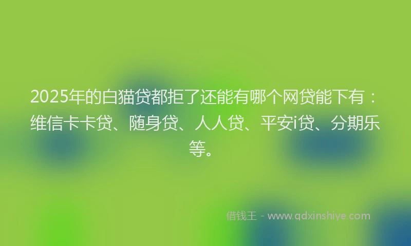 2025年的白猫贷都拒了还能有哪个网贷能下有：维信卡卡贷、随身贷、人人贷、平安i贷、分期乐等。