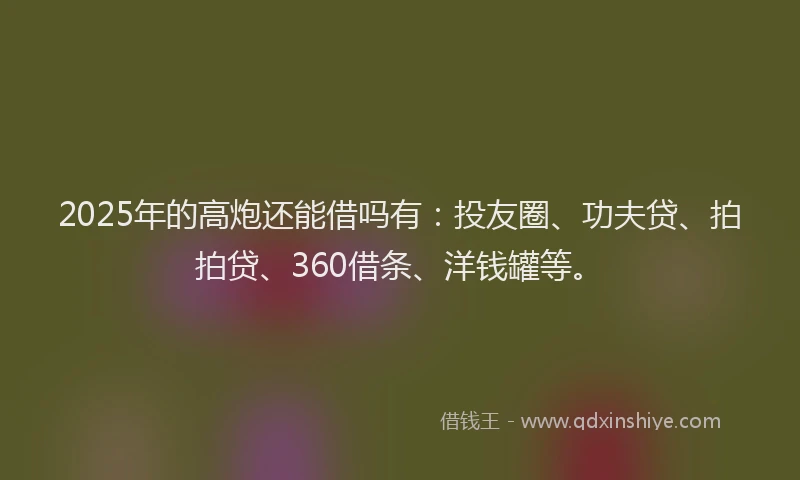 2025年的高炮还能借吗有：投友圈、功夫贷、拍拍贷、360借条、洋钱罐等。