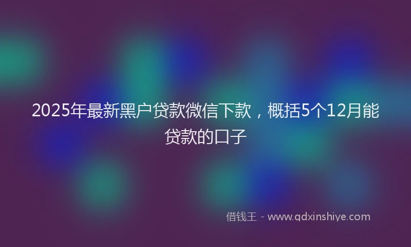 2025年最新黑户贷款微信下款，概括5个12月能贷款的口子