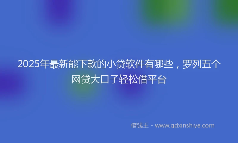 2025年最新能下款的小贷软件有哪些，罗列五个网贷大口子轻松借平台
