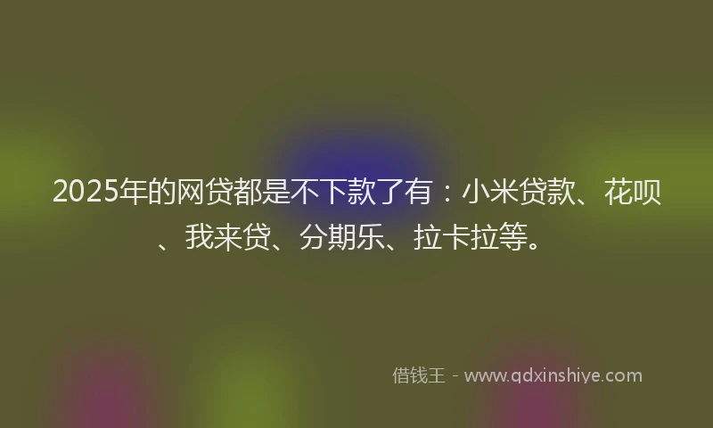 2025年的网贷都是不下款了有：小米贷款、花呗、我来贷、分期乐、拉卡拉等。
