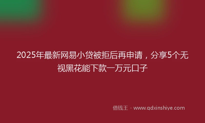 2025年最新网易小贷被拒后再申请，分享5个无视黑花能下款一万元口子