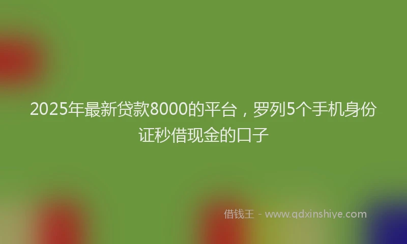 2025年最新贷款8000的平台，罗列5个手机身份证秒借现金的口子