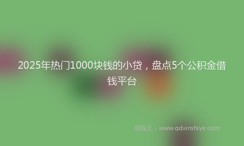 2025年热门1000块钱的小贷，盘点5个公积金借钱平台