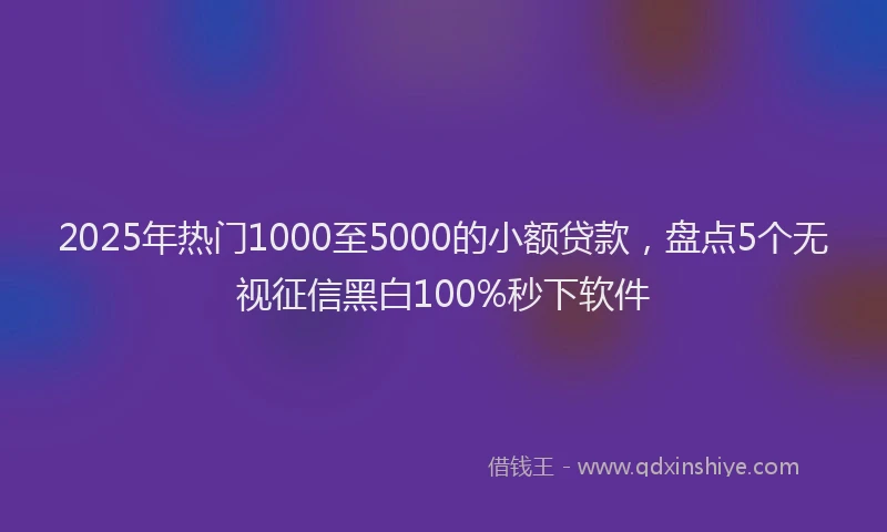 2025年热门1000至5000的小额贷款，盘点5个无视征信黑白100%秒下软件