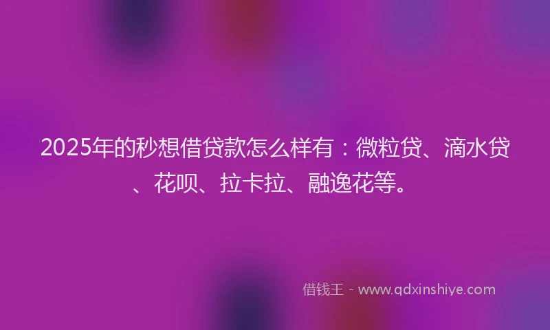 2025年的秒想借贷款怎么样有：微粒贷、滴水贷、花呗、拉卡拉、融逸花等。