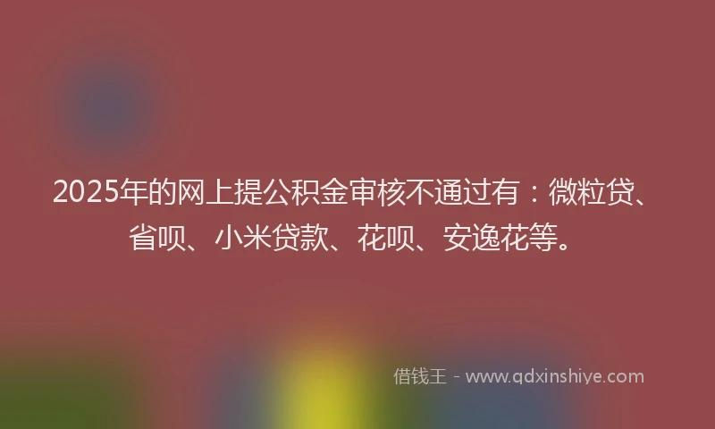 2025年的网上提公积金审核不通过有：微粒贷、省呗、小米贷款、花呗、安逸花等。