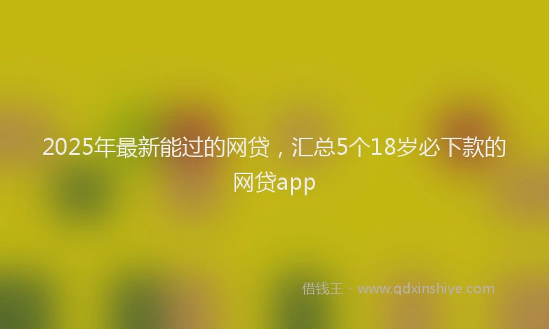 2025年最新能过的网贷，汇总5个18岁必下款的网贷app